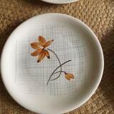 Series of 10 dessert plates