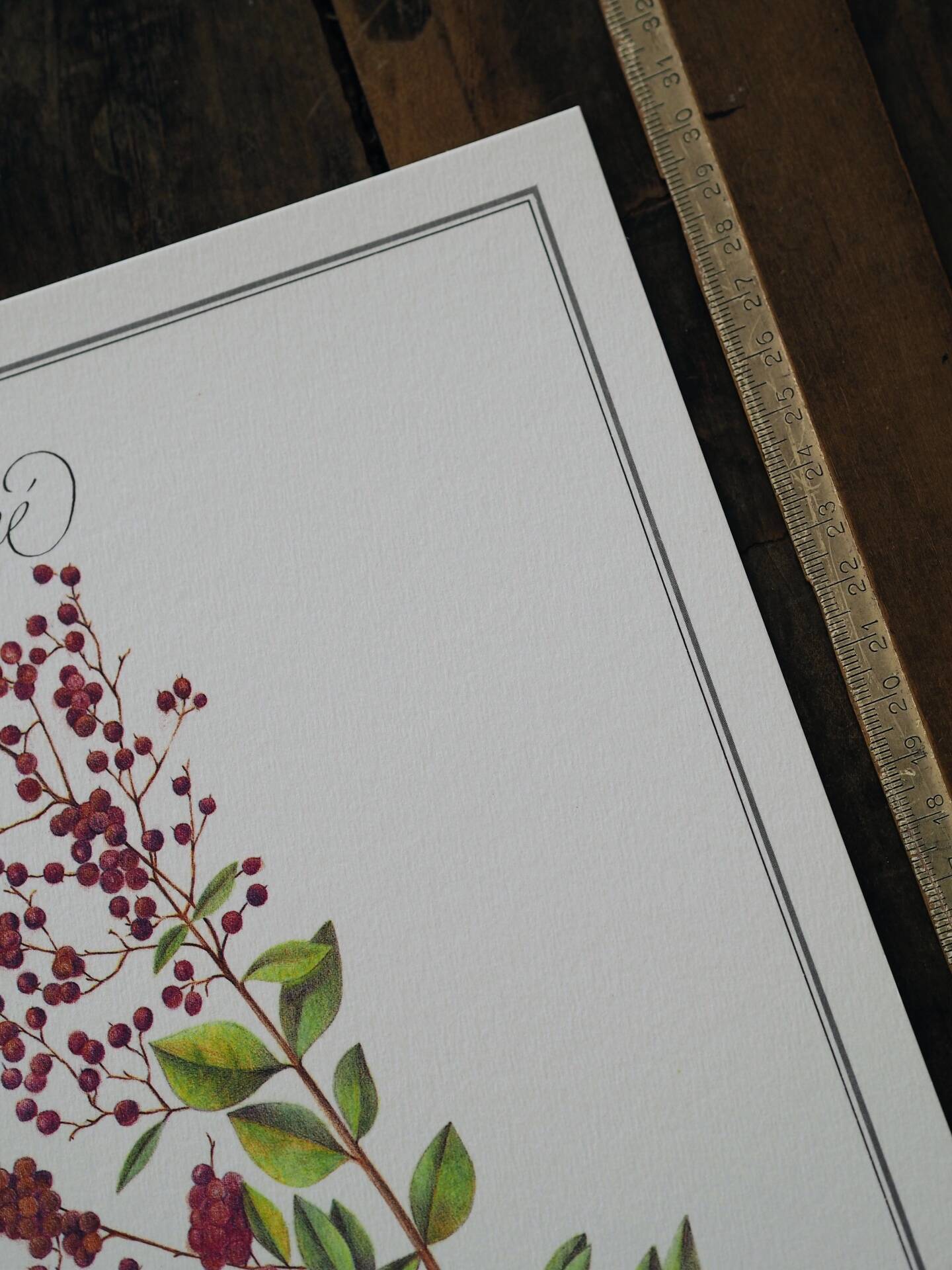 Henna, printed illustration from 1986. Vintage Botany. 24X31cm
