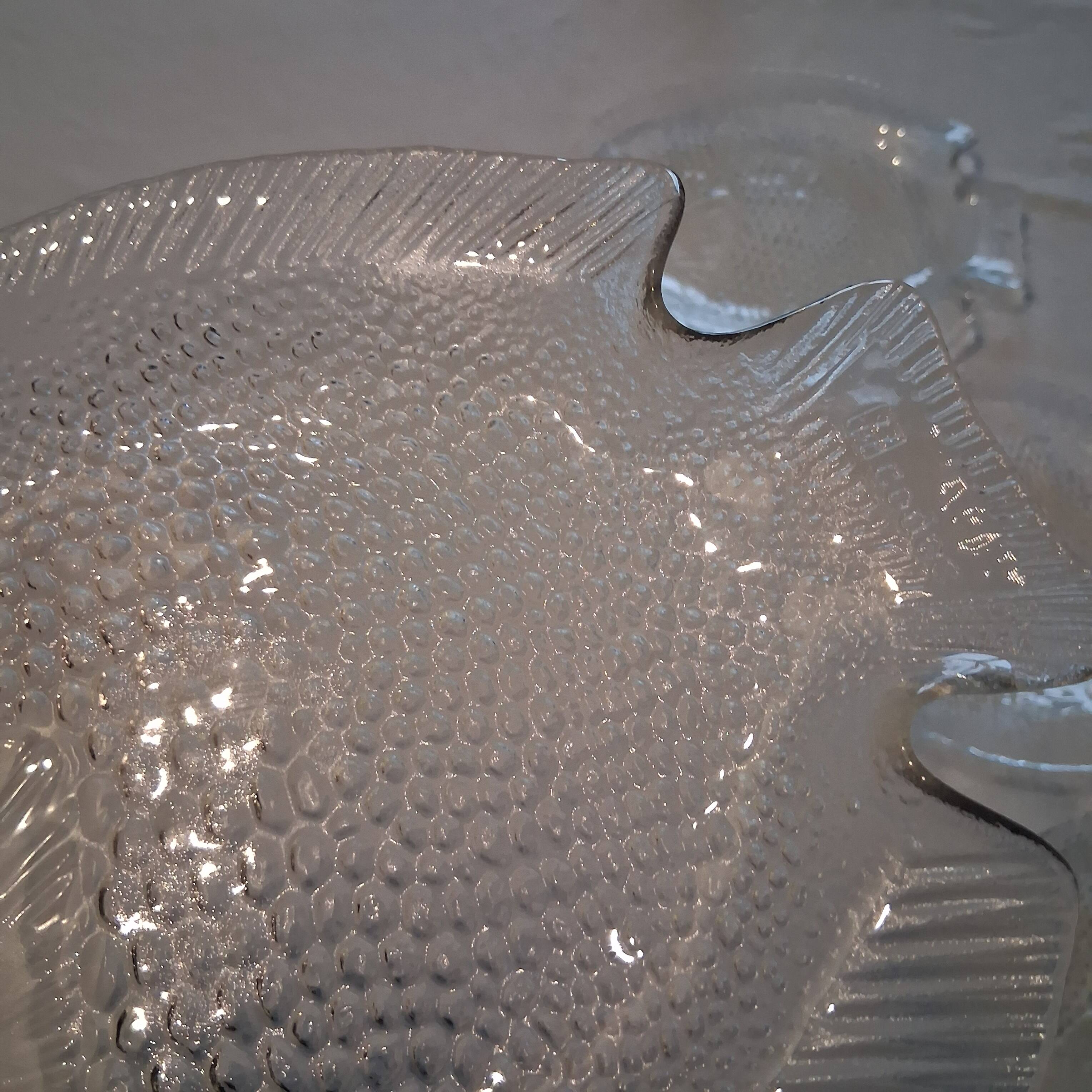 6 glass fish plates from Arcoroc in very good condition.