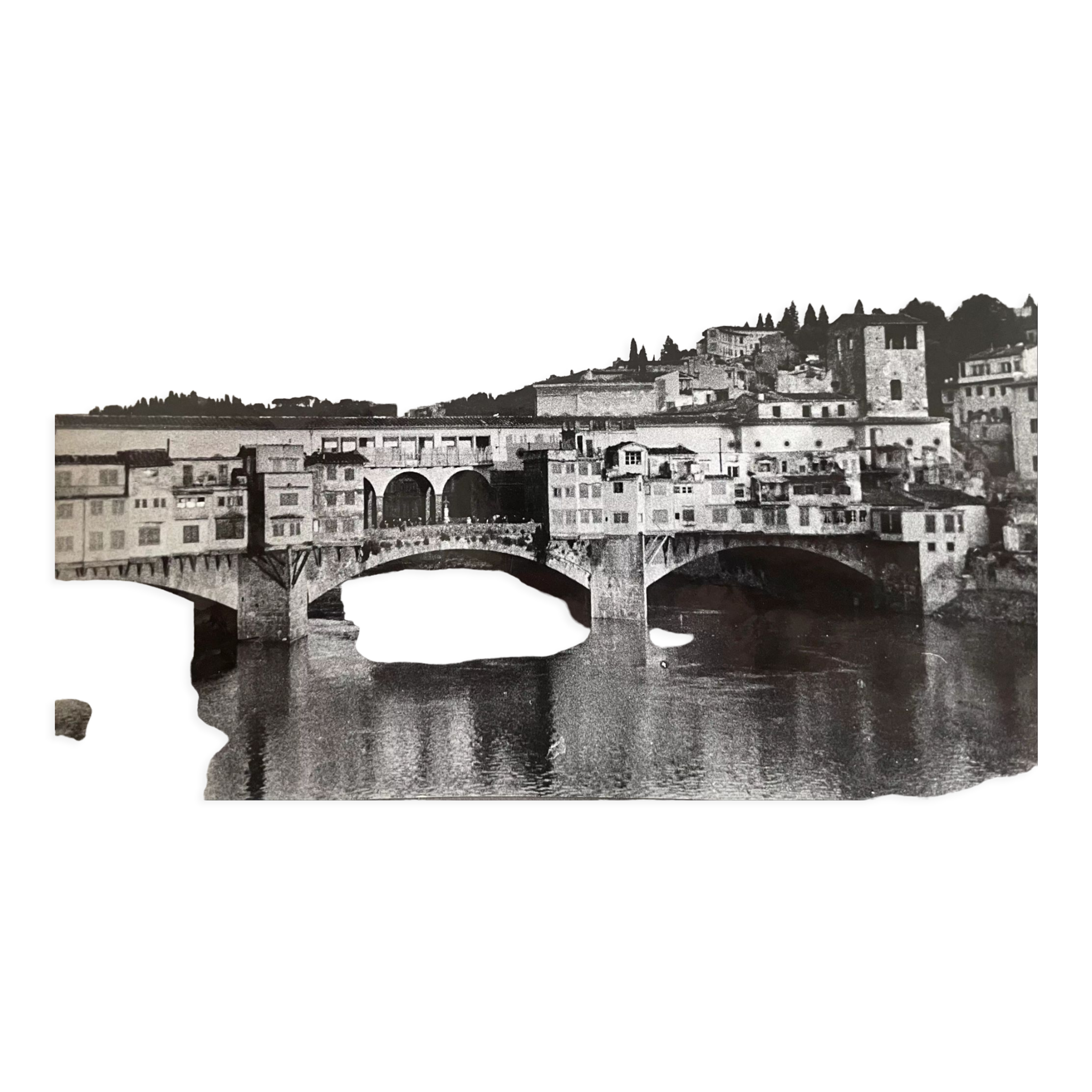 Photographie ancienne noir et blanc argentique début XXe