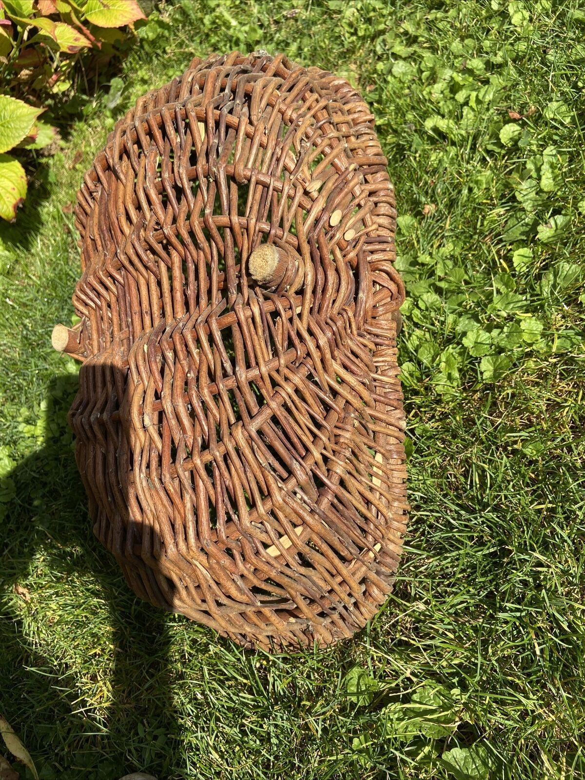 Basket with wicker handle picking vegetable garden mushrooms