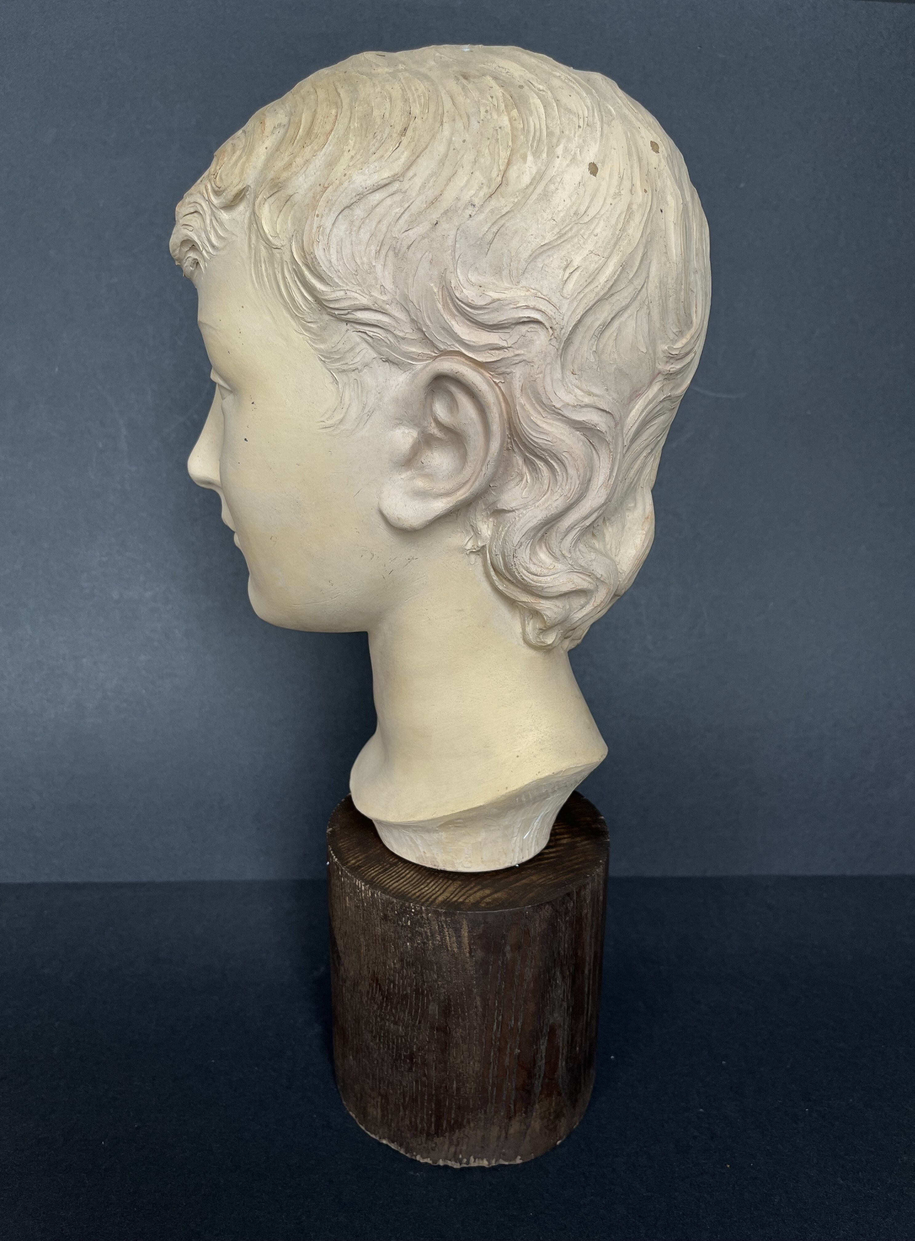 Young woman's head