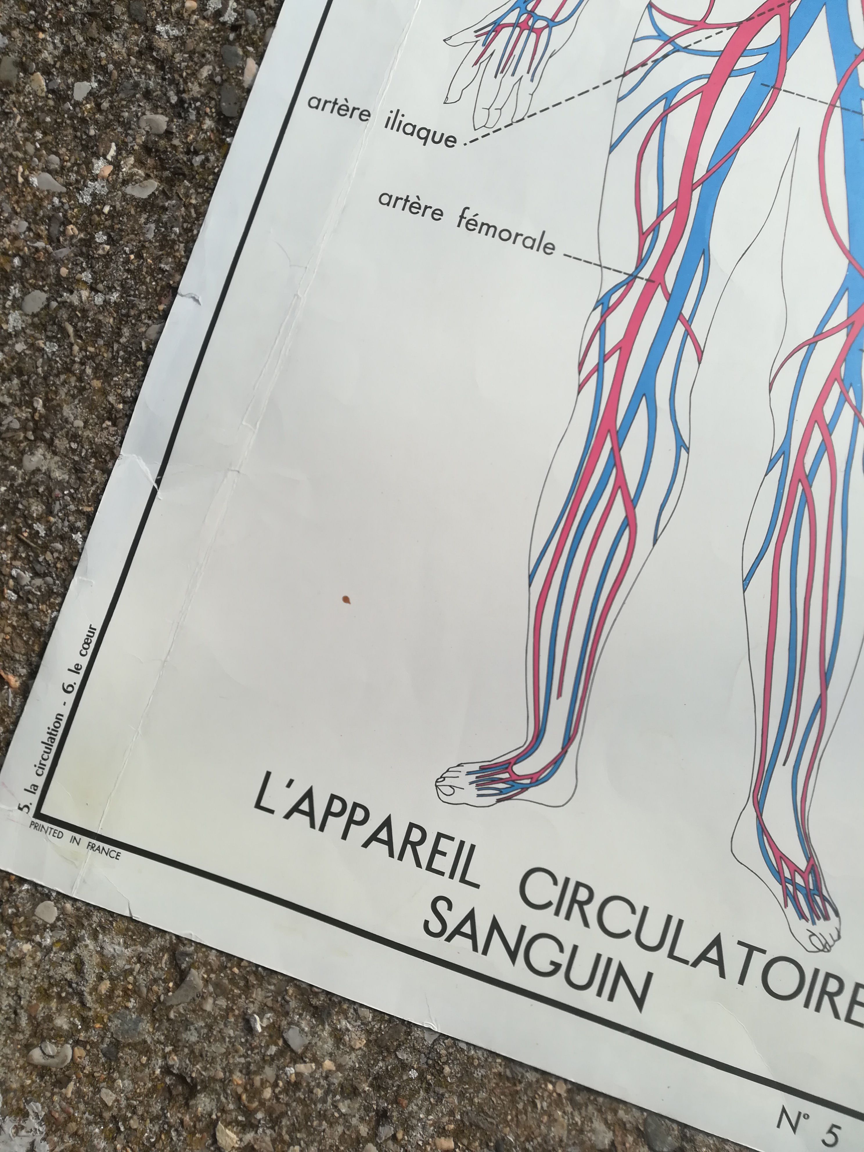 Rossignol school poster N°5 The heart N°6 Vintage traffic