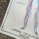 Rossignol school poster N°5 The heart N°6 Vintage traffic