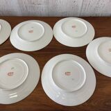 12 porcelain plates, 22cm diameter