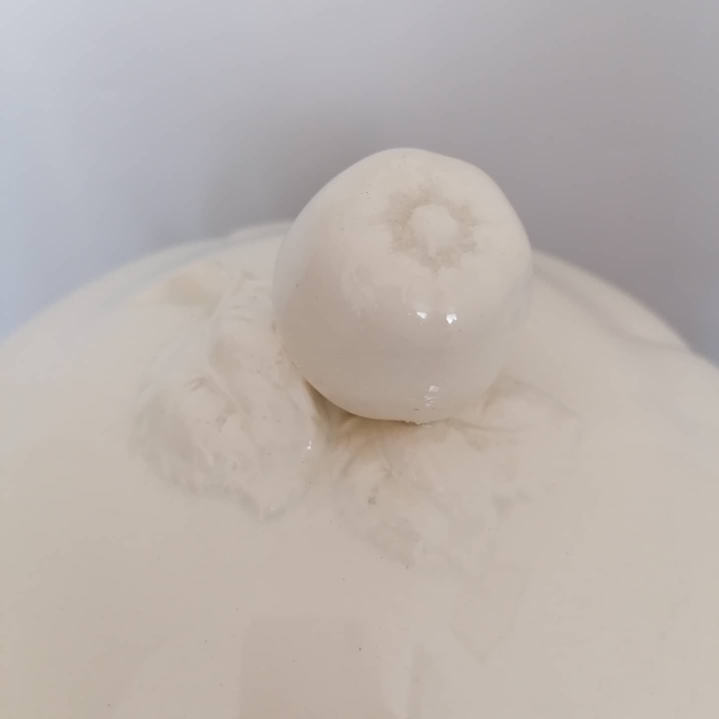 Soupière Sarreguemines