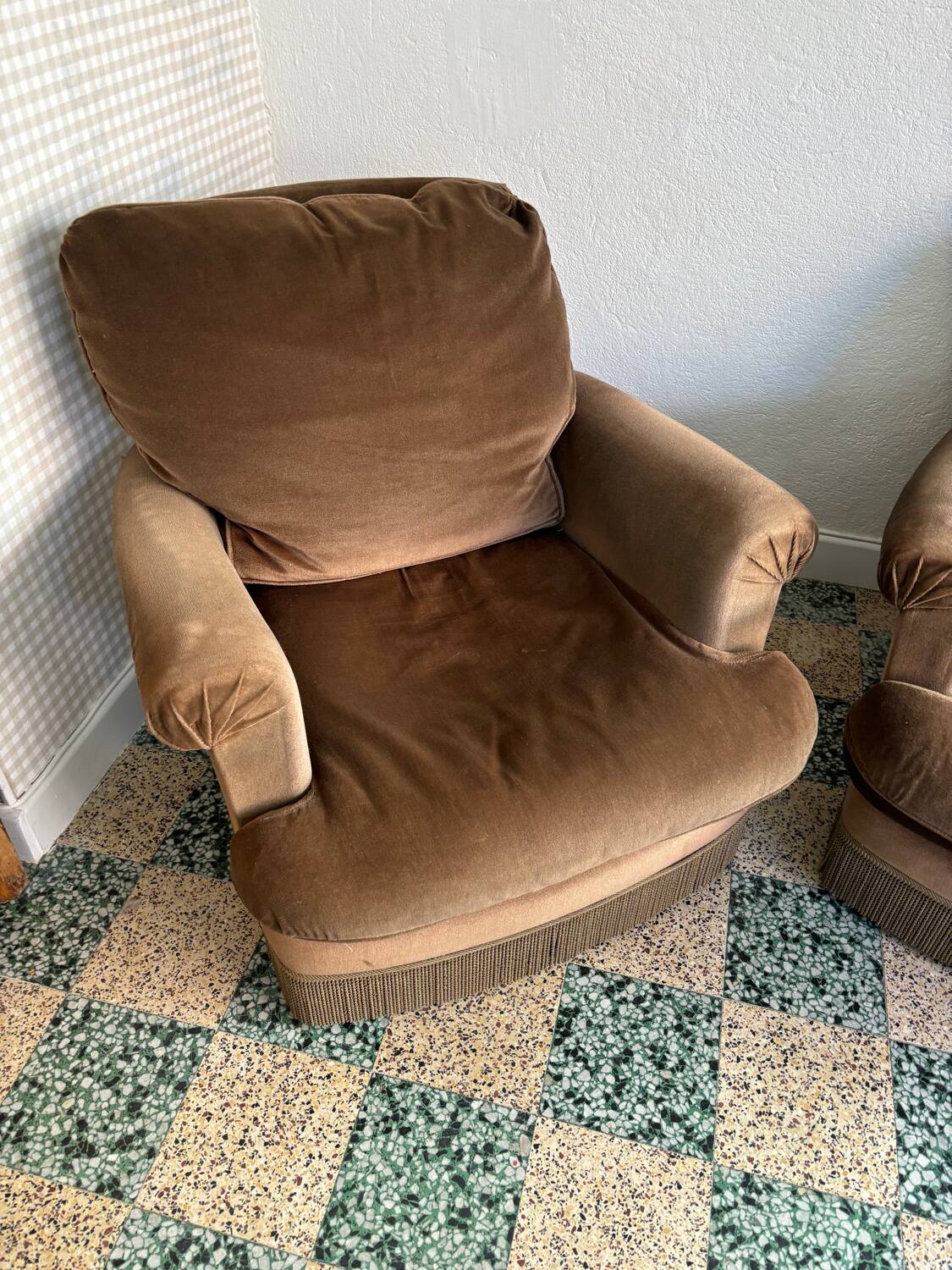 Velvet frog armchairs