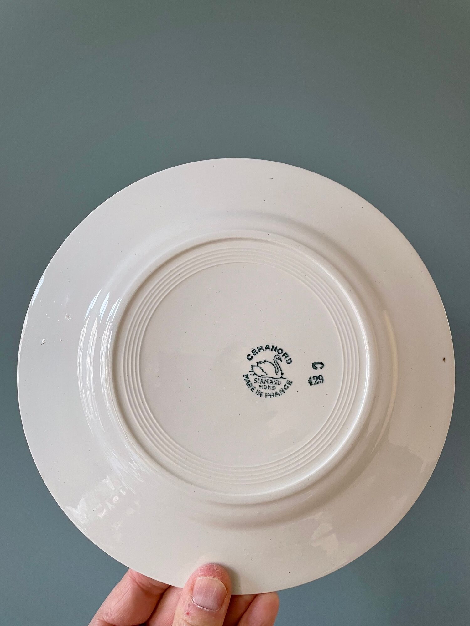 Set of 10 plates (5 flat and 5 hollow) in St Amand earthenware, Céranord