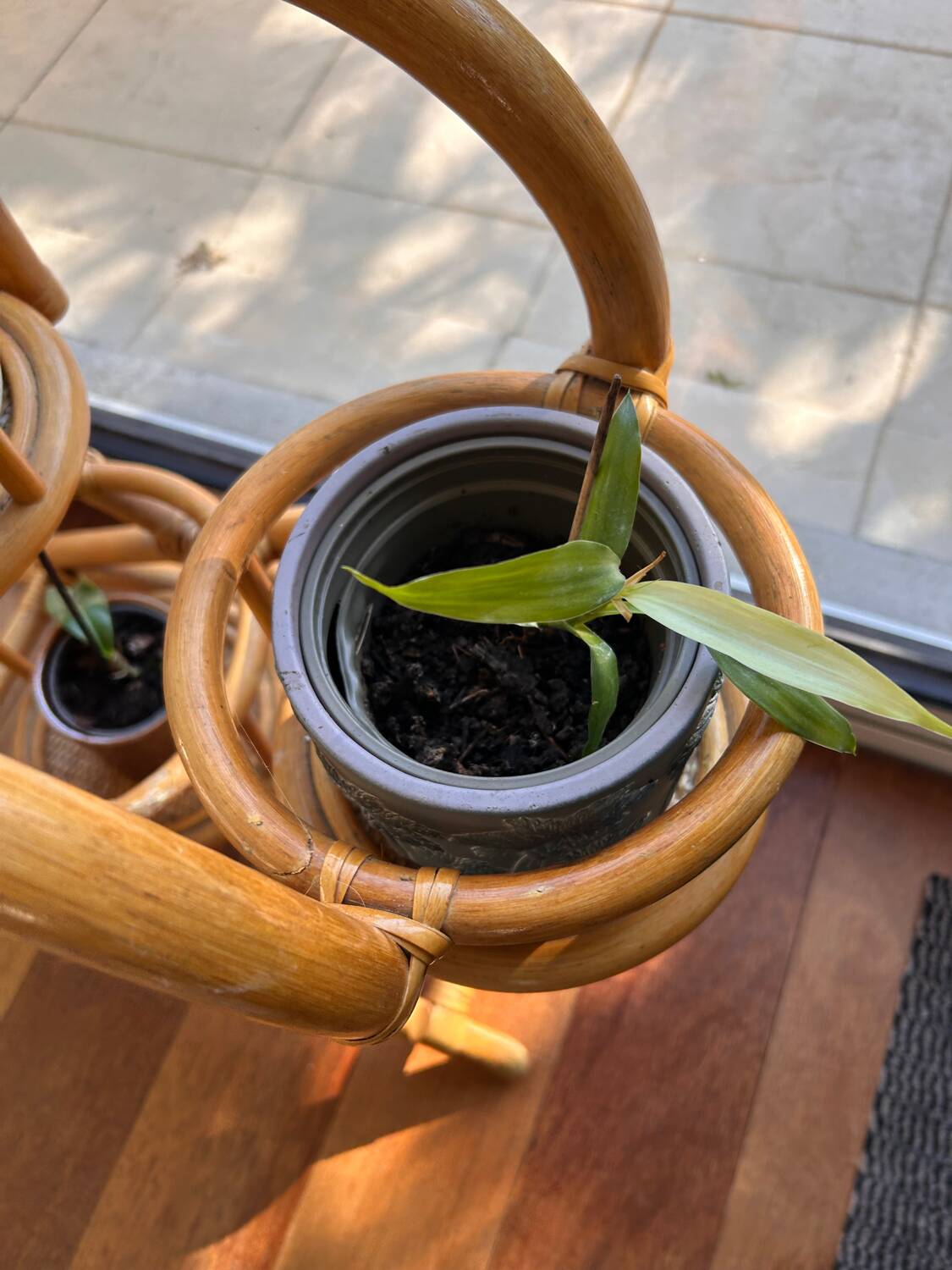 Vintage rattan plant stand – 1970s