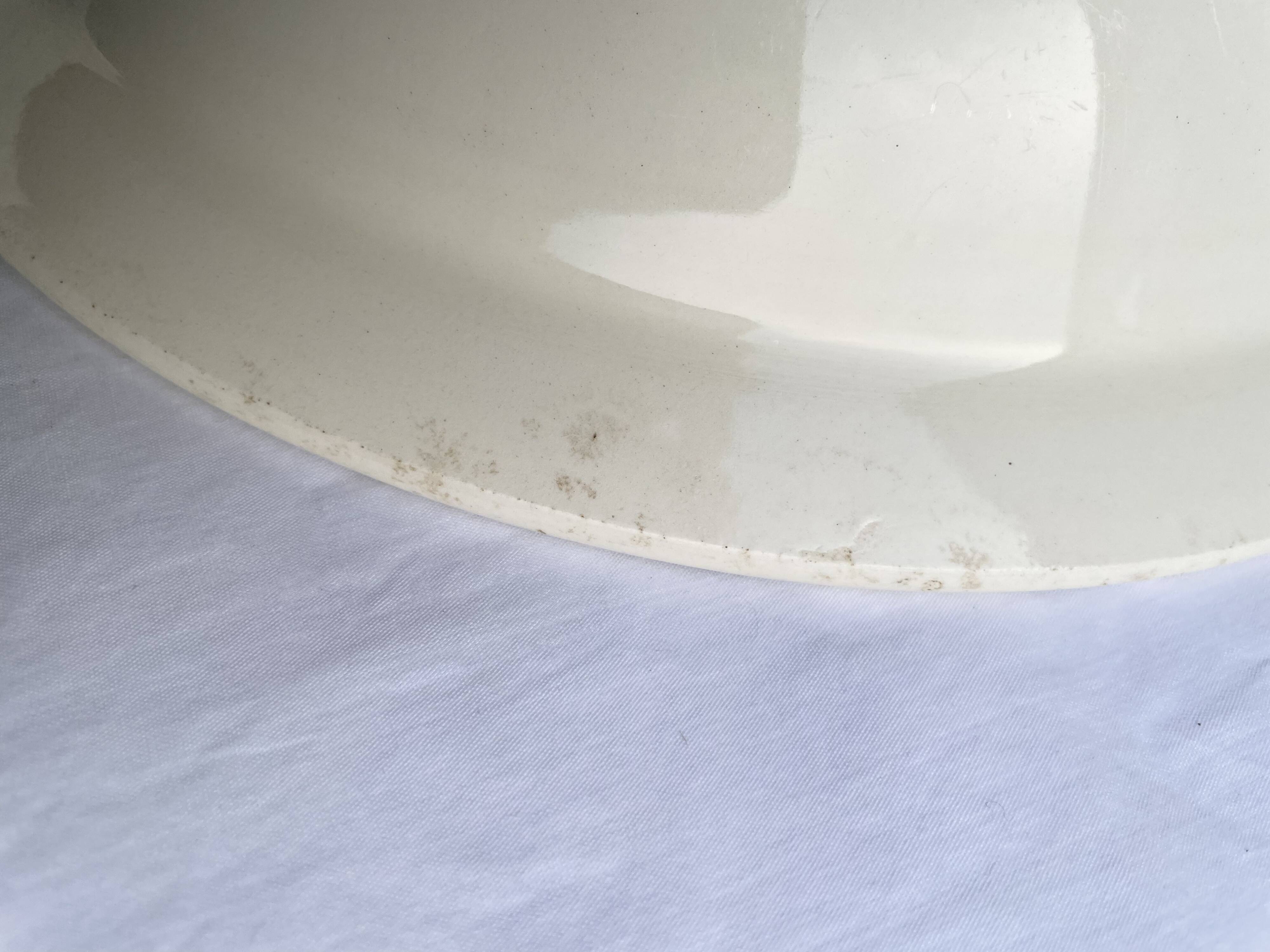 Antique shallow dish Badonviller tulip decoration
