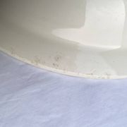 Plat creux ancien Badonviller décor tulipes
