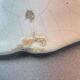 Faience dish of rouen -flower basket - ø 38 cm