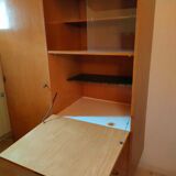 Vintage showcase cabinet