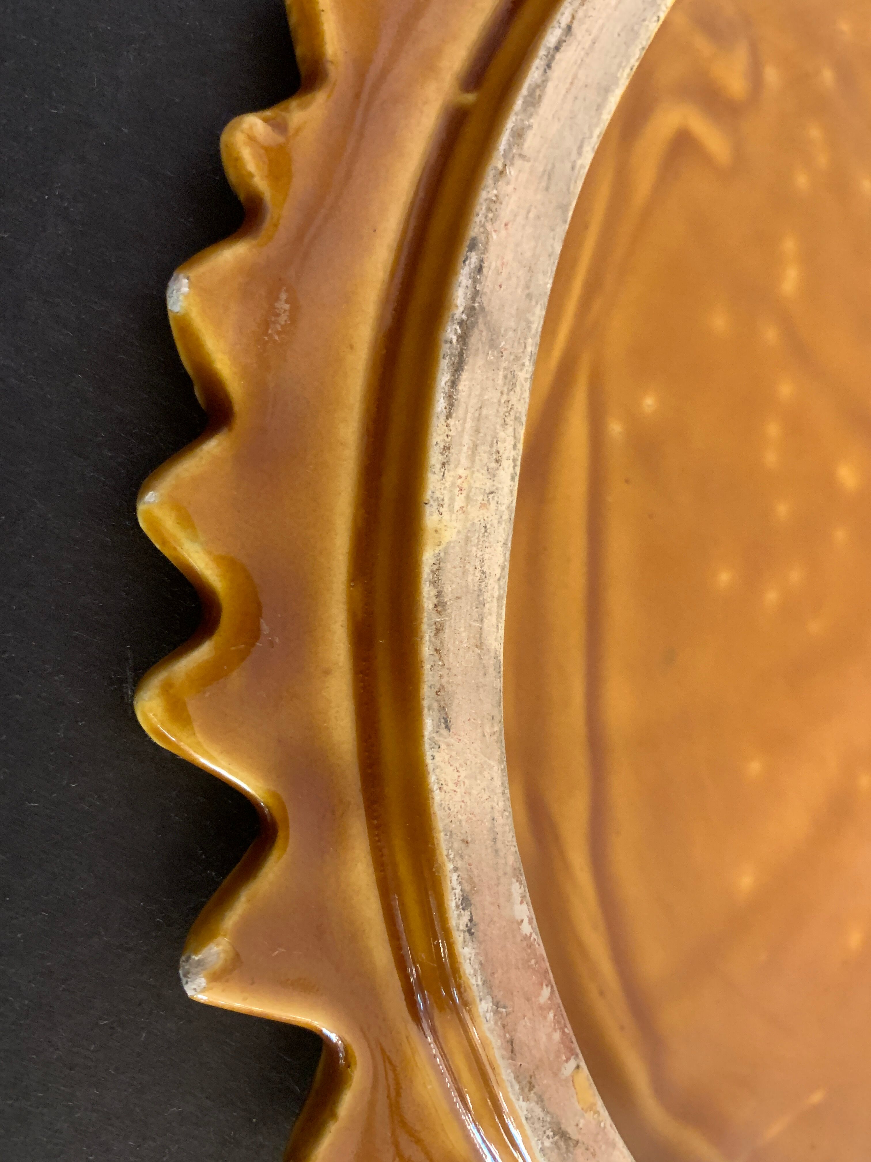 Underside Vallauris Aegitna, Saltalamacchia, sunflower model