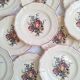 Flat plates Digoin Sarreguemines Model Loraine