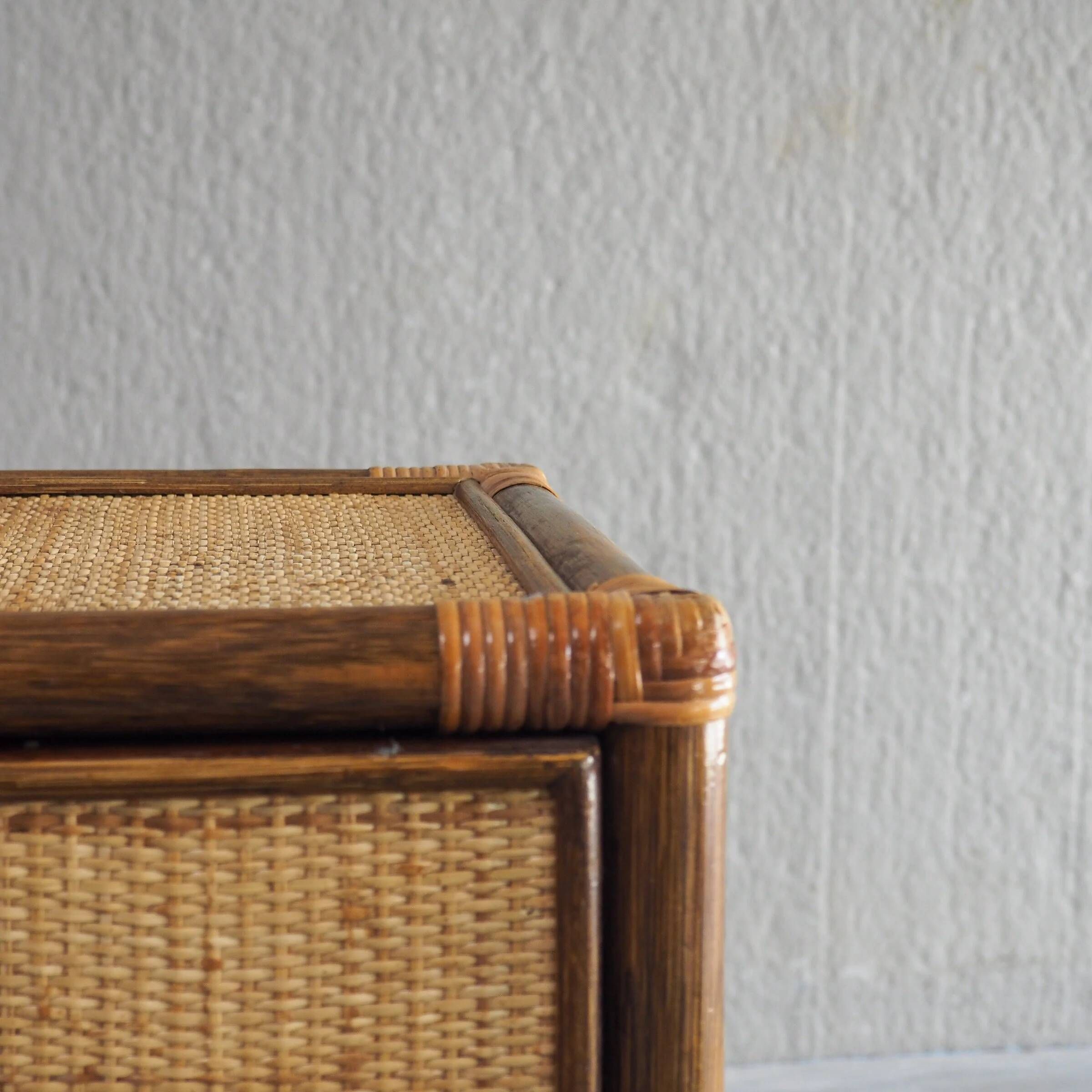 Vintage rattan & woven cane cabinet with 2 doors