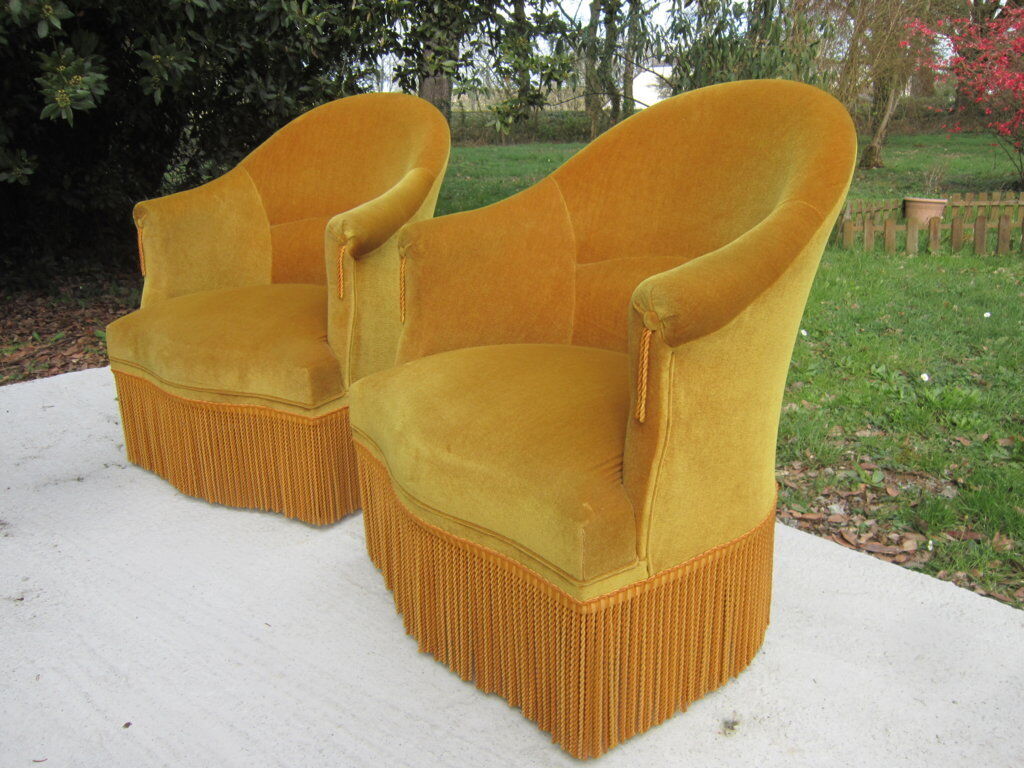 Pair of armchairs velvet Toad