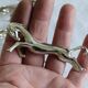 6 metal knife holders, horse.