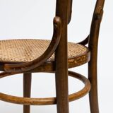 Chair No. 14 in curved wood and Fischel tanned seat
