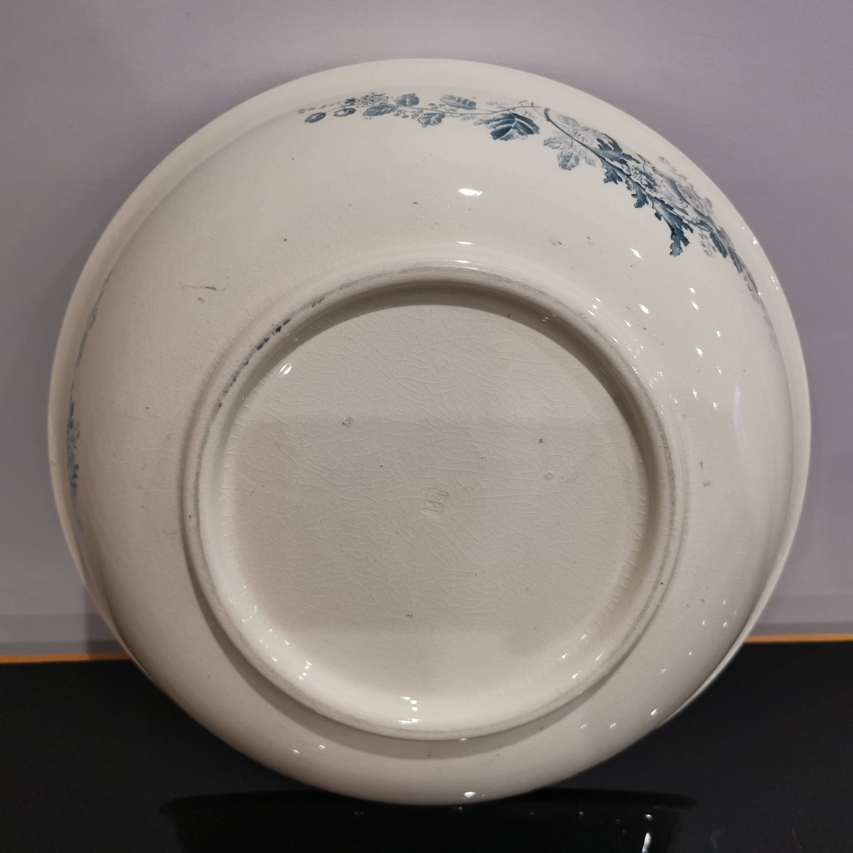 Old dish/ Terre De Fer basin Choisy-le-Roi E. Bourgeois