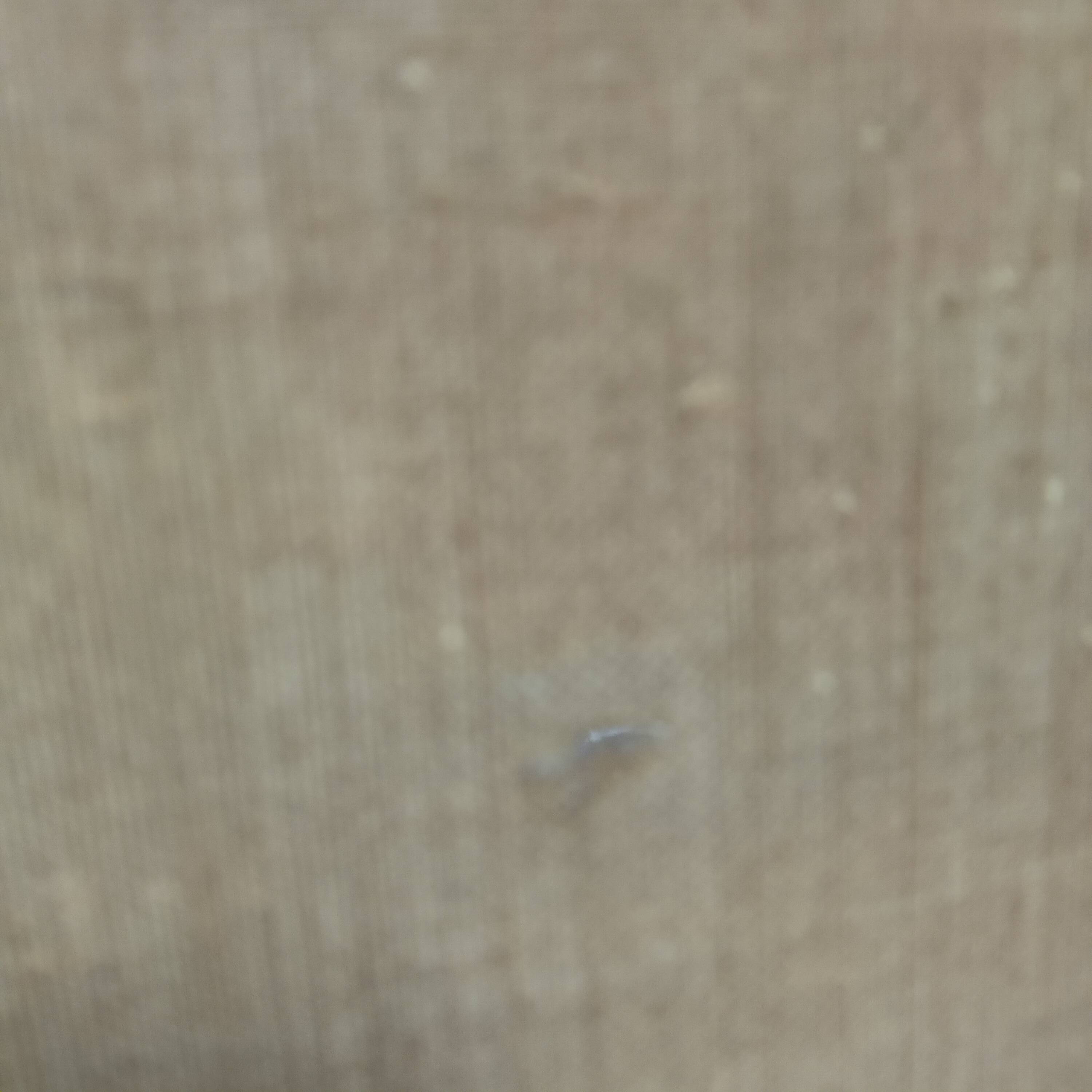 painting still life bouquet