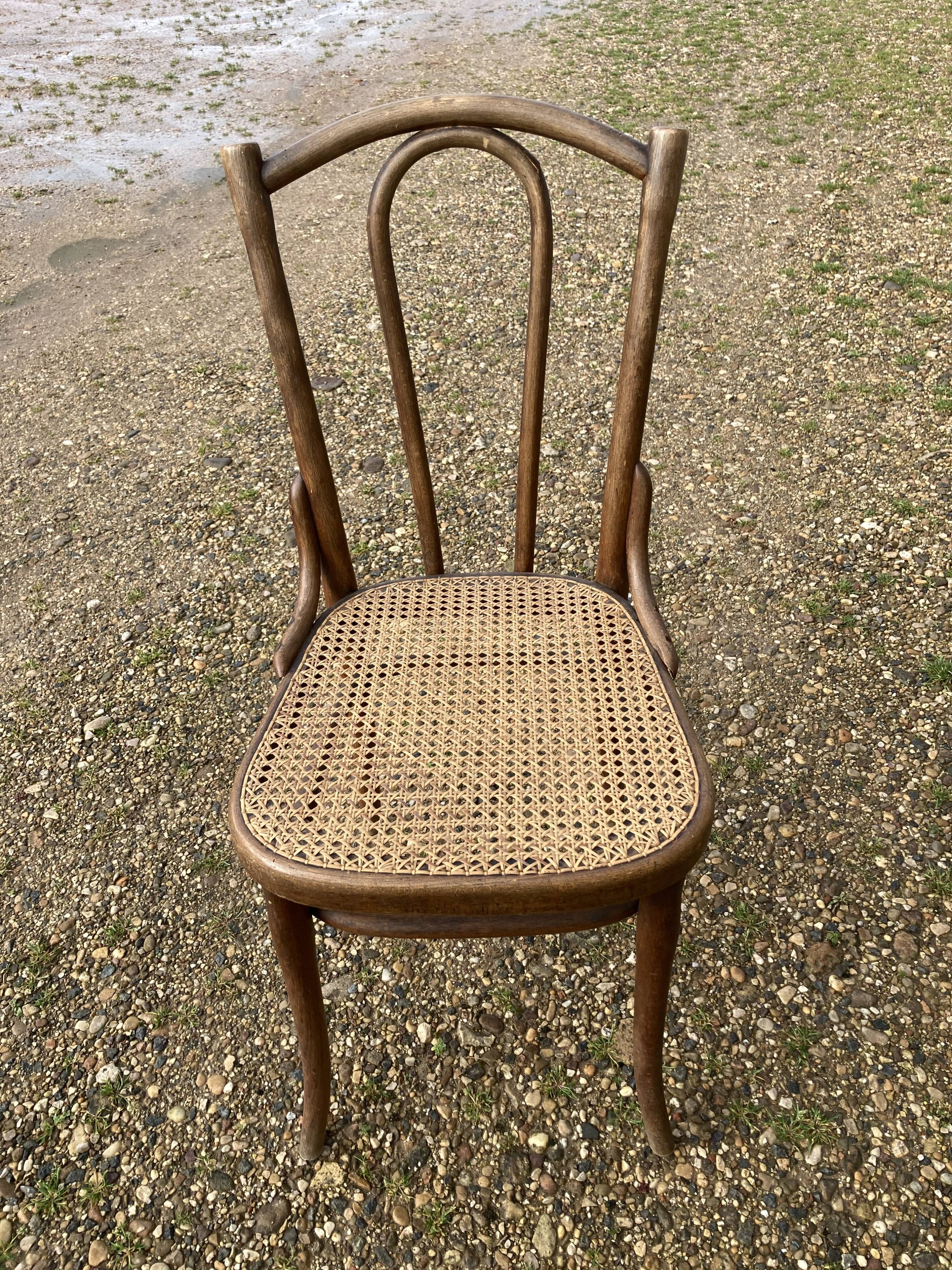 Series of 6chairs bistro Thonet