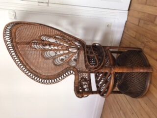Emmanuelle peacock chair
