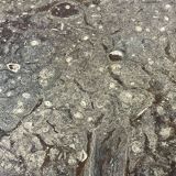 Pair of coffee tables in oak and fossil stone