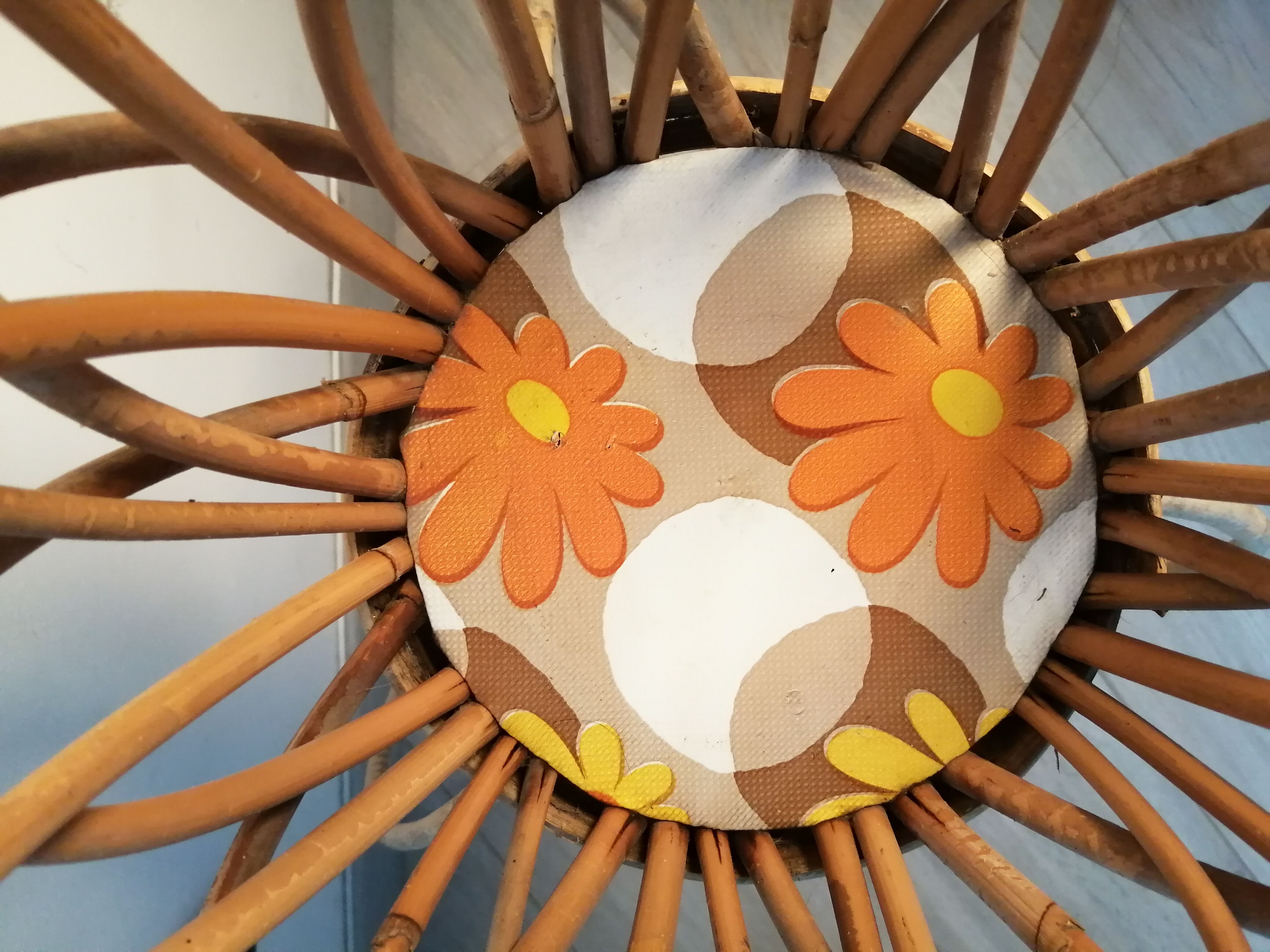 Door rattan plant 60s