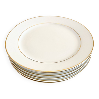 White and gold porcelain dinner plates
