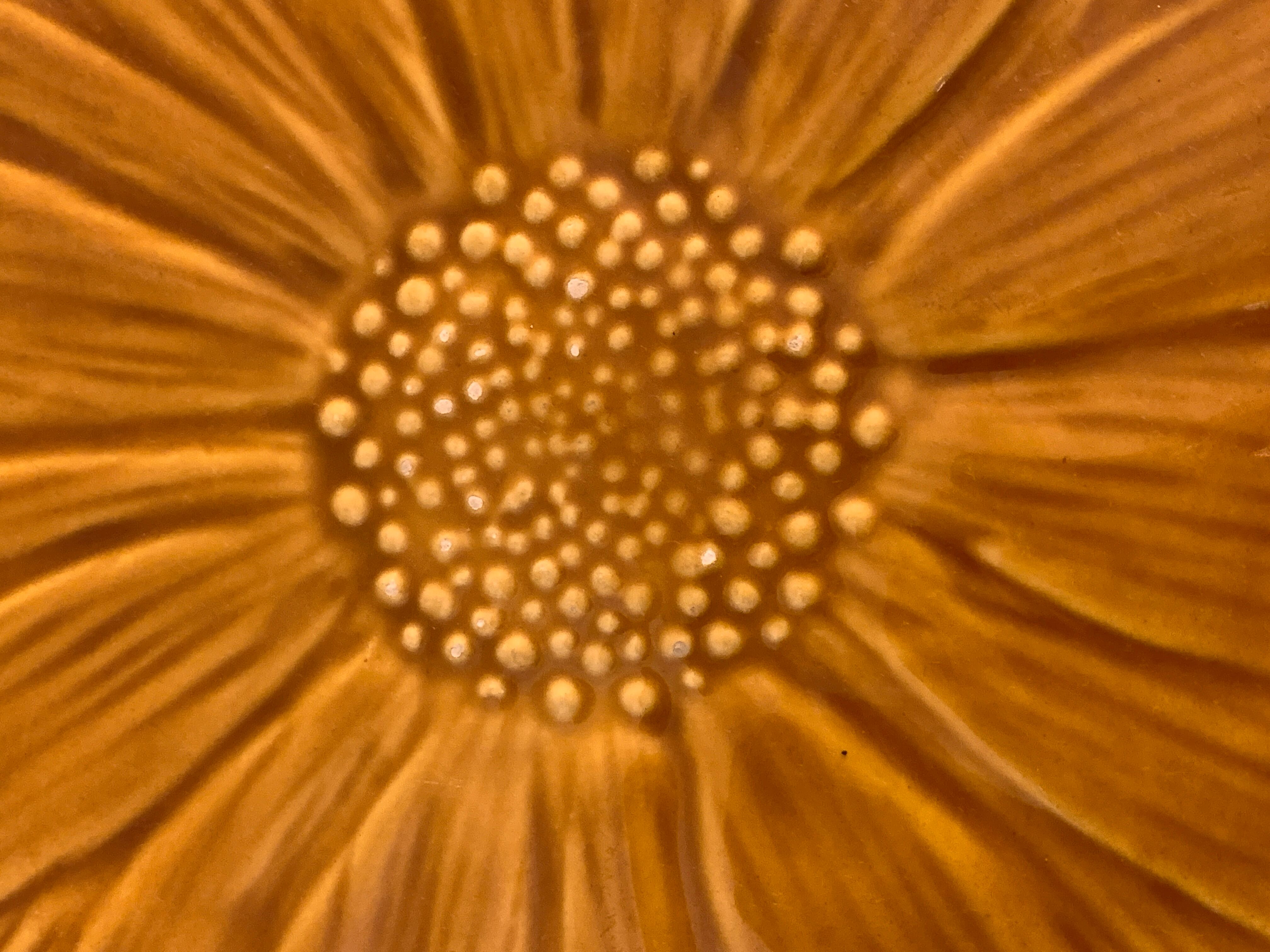 Underside Vallauris Aegitna, Saltalamacchia, sunflower model