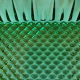 Vintage green presentation dishes