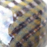 Glass vase on a stand