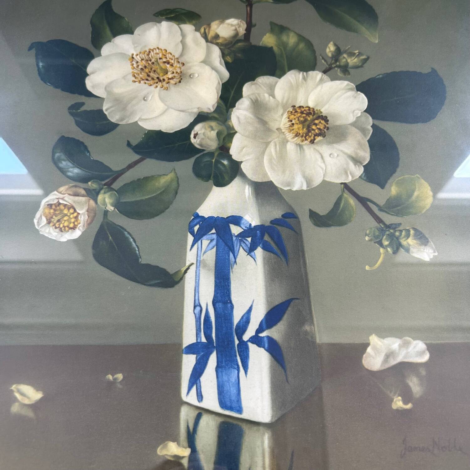 Reproductions florales de James Noble