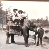 Old photo in worked wooden frame The Bombay Company