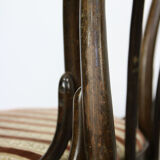 Bentwood 18 dining chairs, set of 2