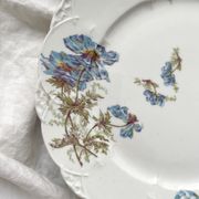 Low Limoges porcelain compote dish