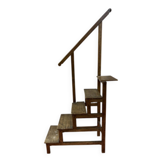 Library ladder