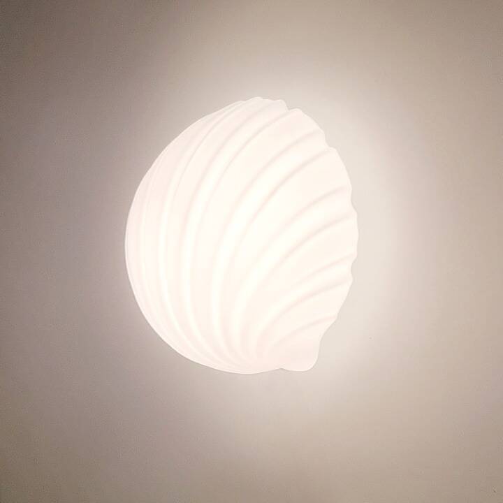 Set of 4 Vintage Shell-Shaped Opaline Glass Wall Lamps from Limburg, 1970s
