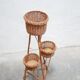 Vintage rattan plant holder
