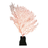 Gorgone Rouge Socle en bois. H : 30 cm | Objet de Décoration l PlaceOddity
