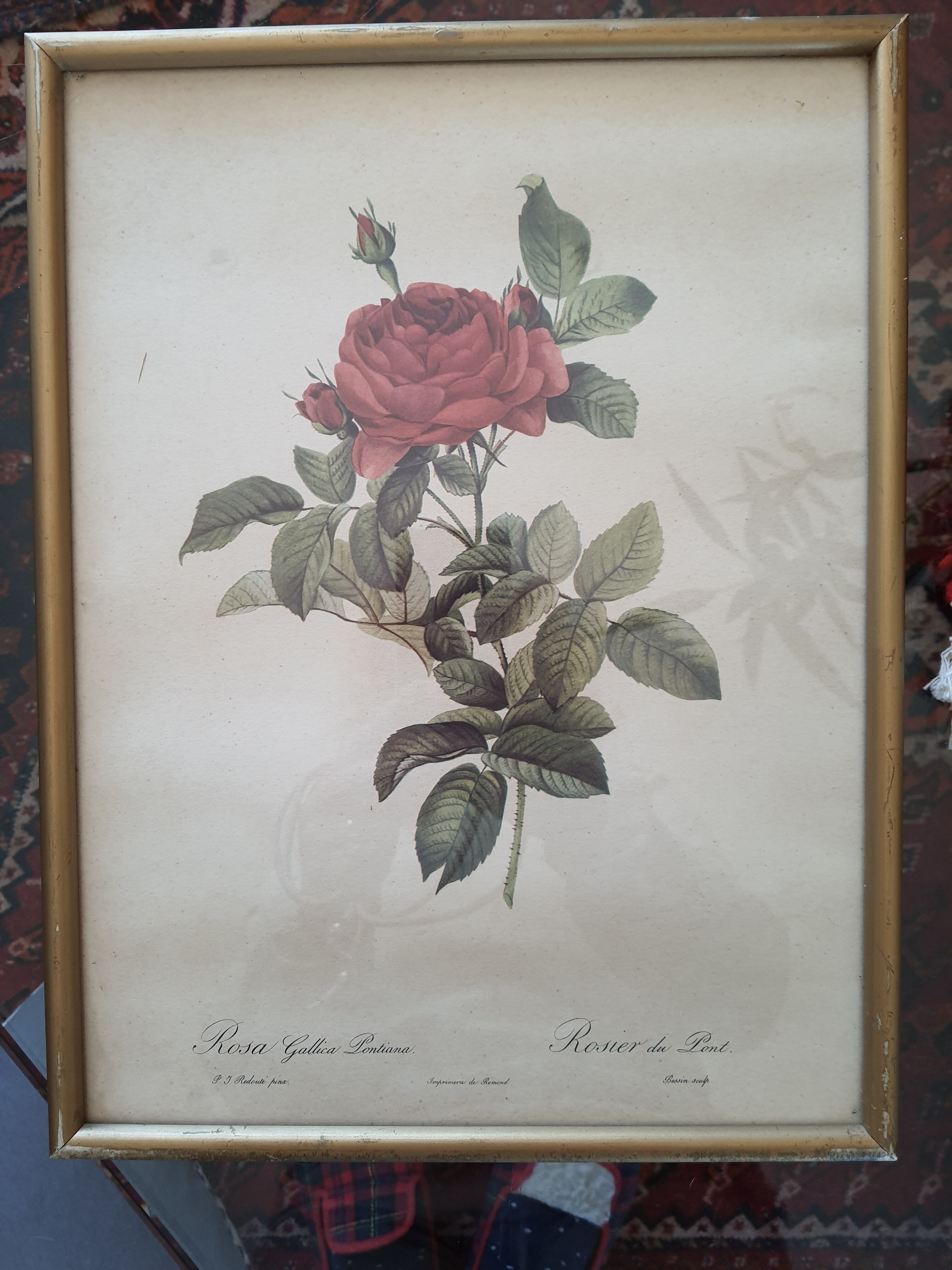 Dreaded pink engraving