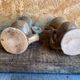 Pair of Beige Ceramic Soliflore Vases Vintage France #D889