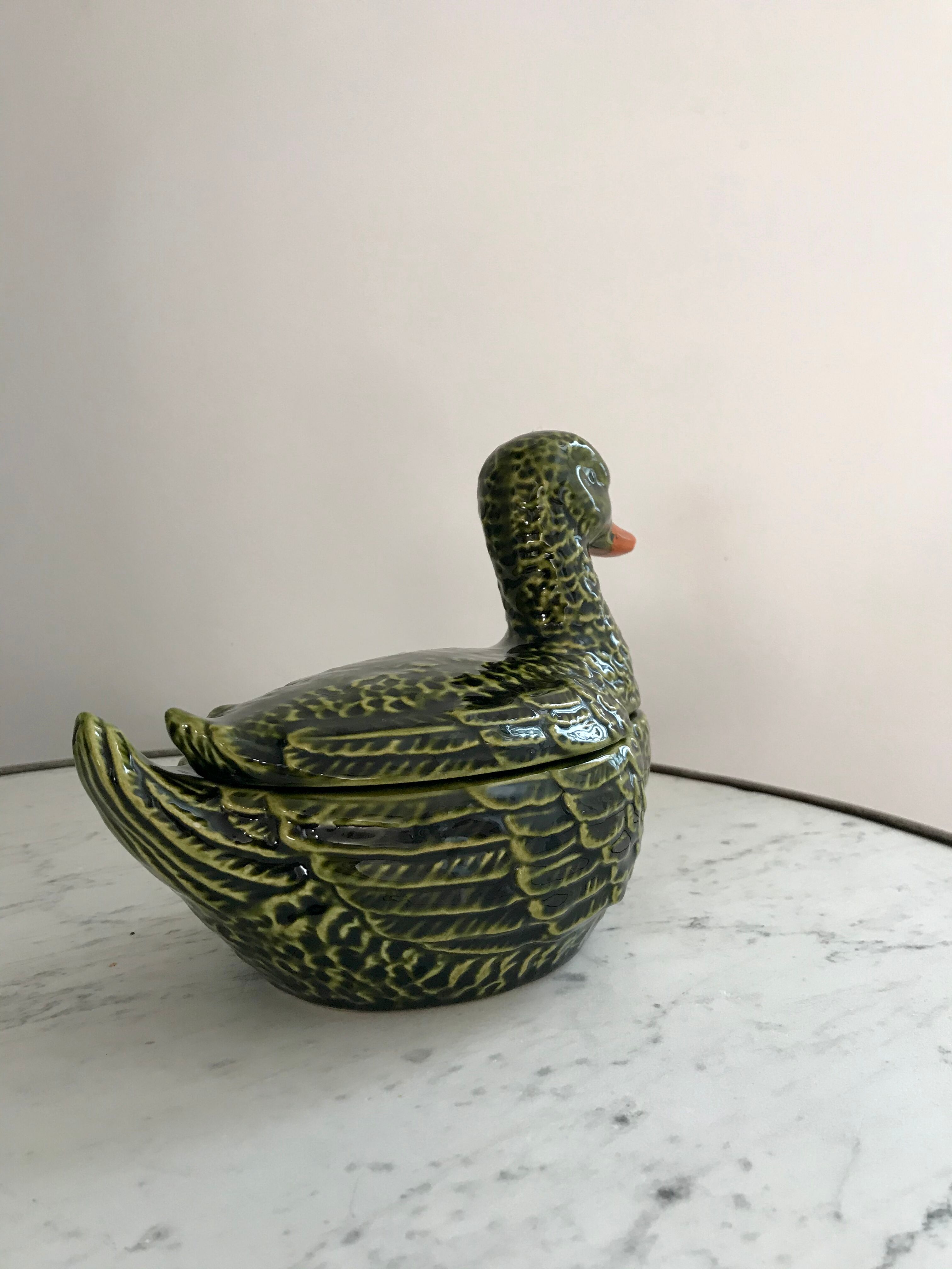 Empty dabbling duck pocket