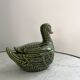 Empty dabbling duck pocket