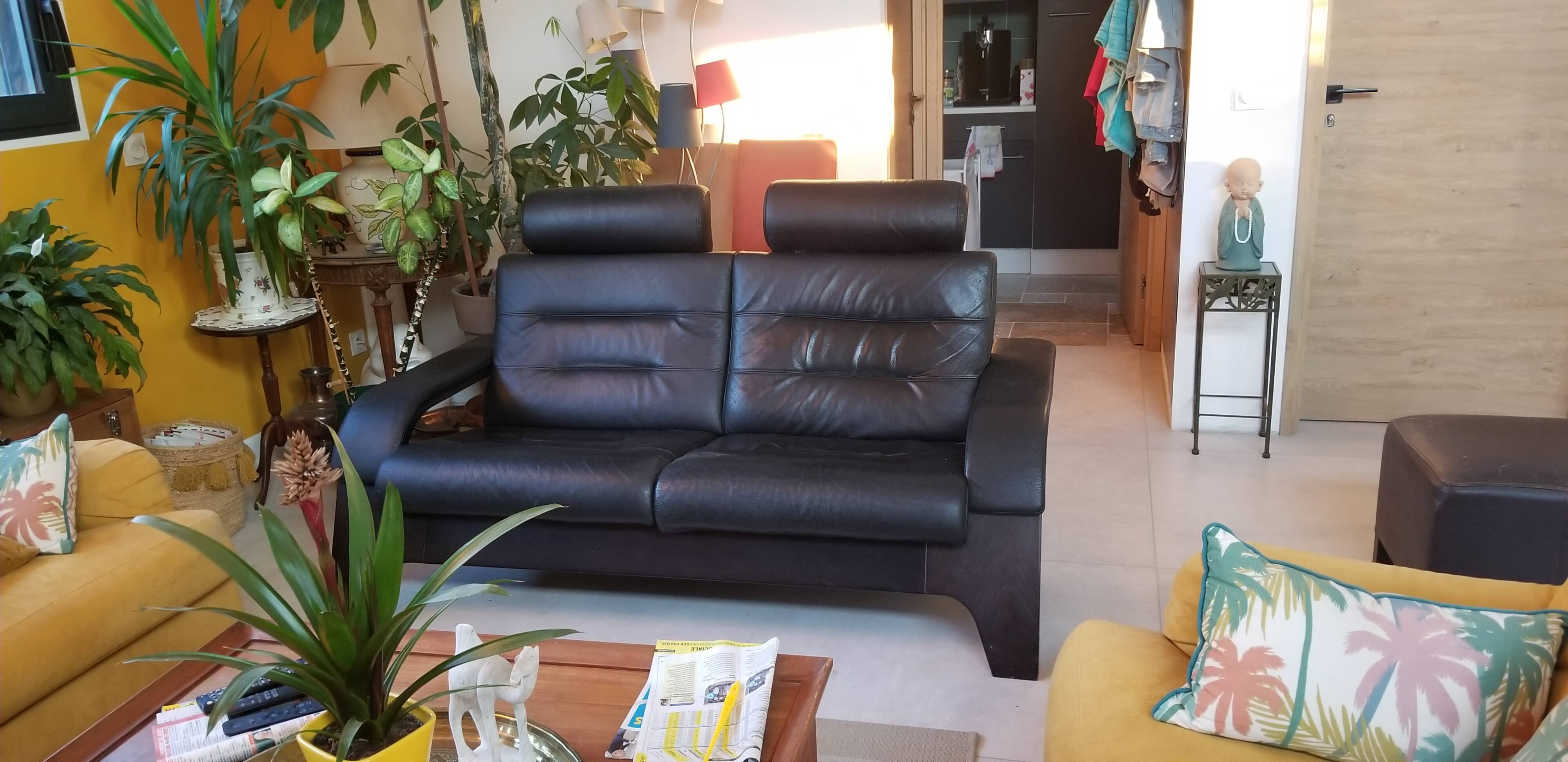 Roche Bobois Nova 2 seater sofa