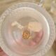 Lot 6 anciens flacons en verre