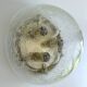 Vintage Limburg Space Age Murano Glass Light