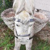 Donkey gardener year 60-70