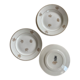 10 Digoin dessert plates